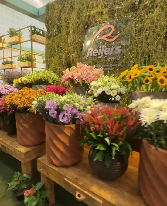 LQ Flores